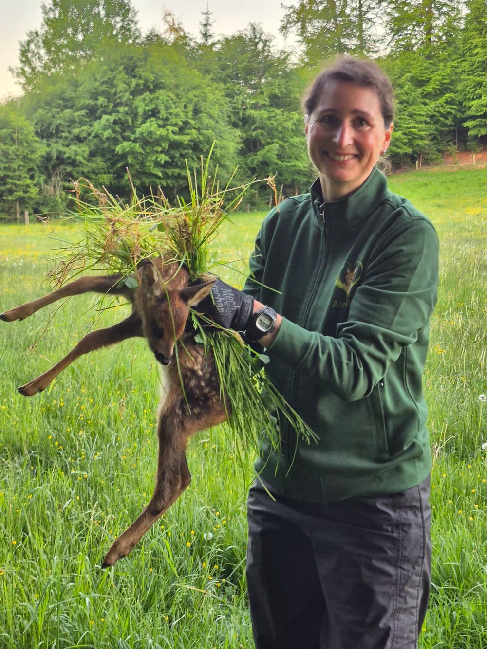 Lächelnde Helferin hält ein gerettetes Kitz, eingehüllt in frisches Gras, auf der Wiese